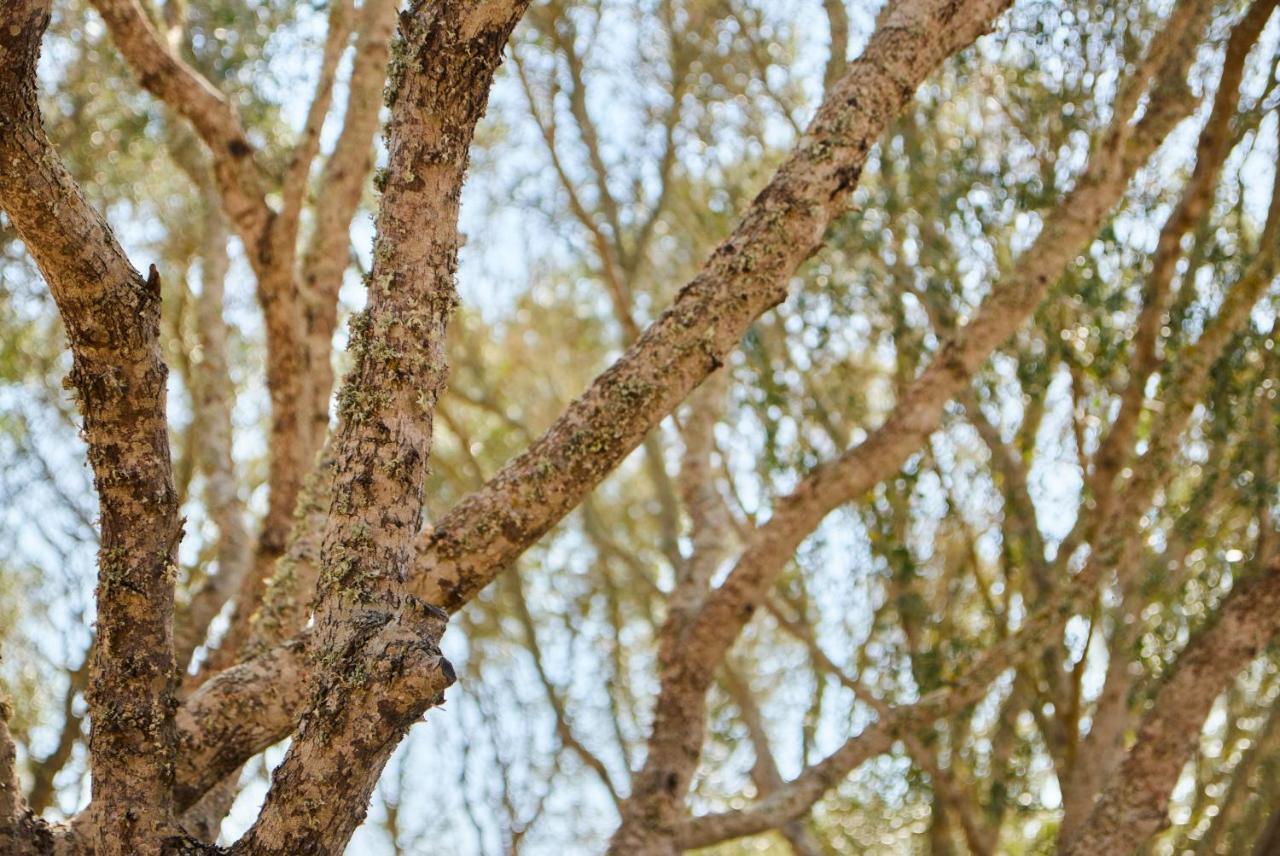 Agroturismo Rafal Rubi Alaior Εξωτερικό φωτογραφία
